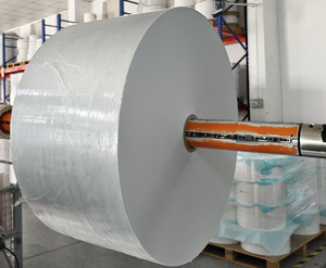 Stock di fabbrica Cartone termico diretto ECO opaco da 175 g/m&sup2;, materiale per carta d'imbarco della compagnia aerea Biglietto aereo cartaceo